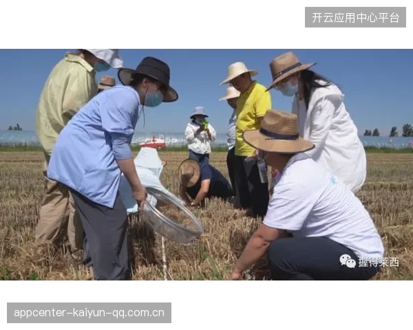 青岛西海岸多点出击打法相当成熟，威胁不断放大
